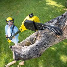 Best Aeration Services  in Highlands, NC